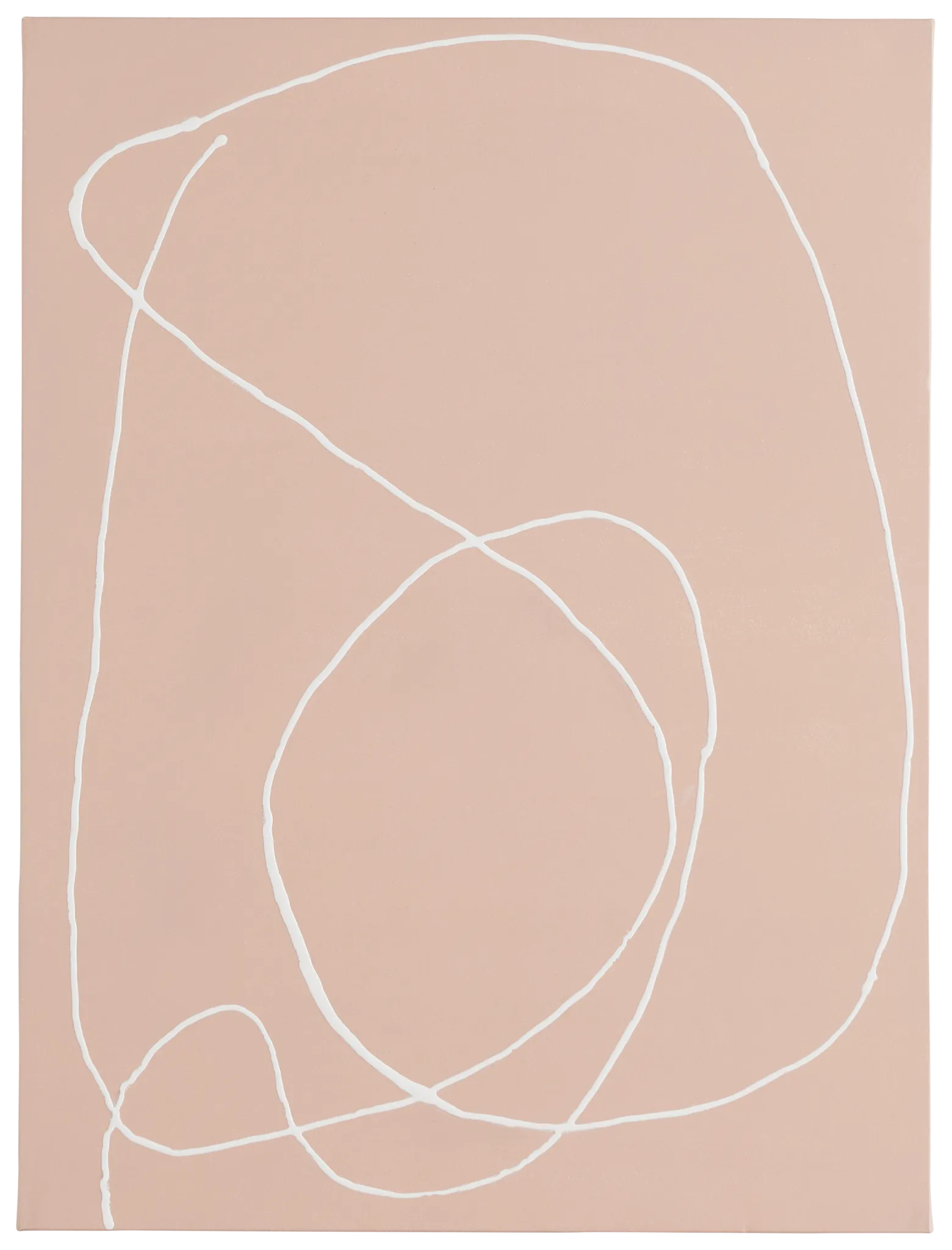 Daveed Brown Canvas Wall Art