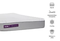 Purple Hybrid Mattress