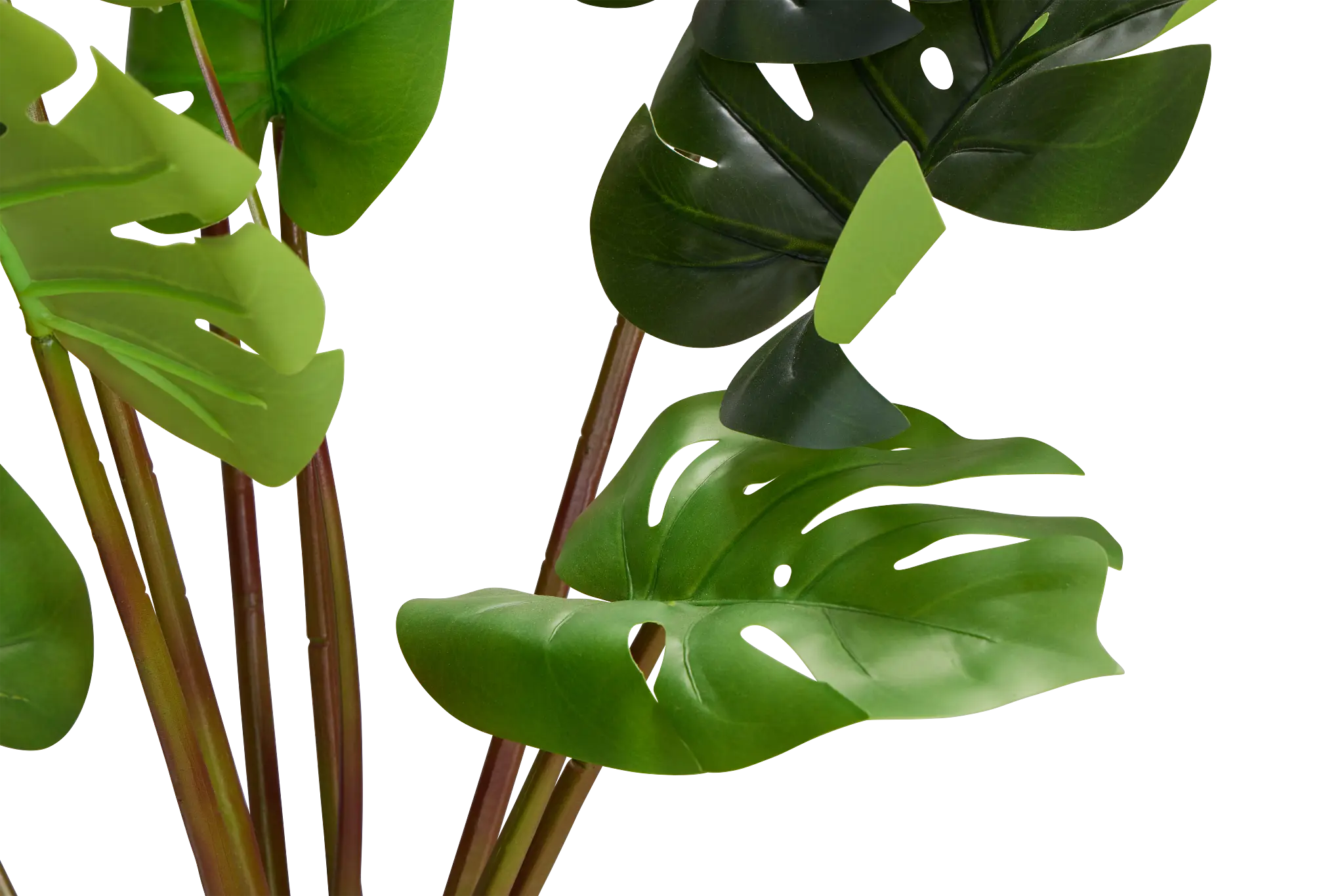 Monstera Green 31" Greenery Monstera Green 31" Greenery