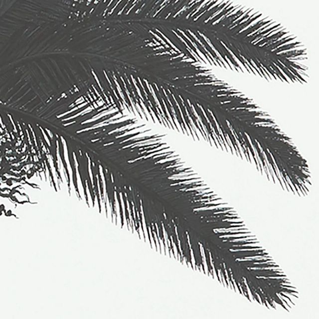 Palm Tree Black Framed Wall Art