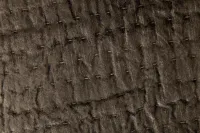 Barin Dark Gray Coverlet Set