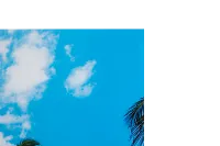 Fort Bend Acrylic Wall Art