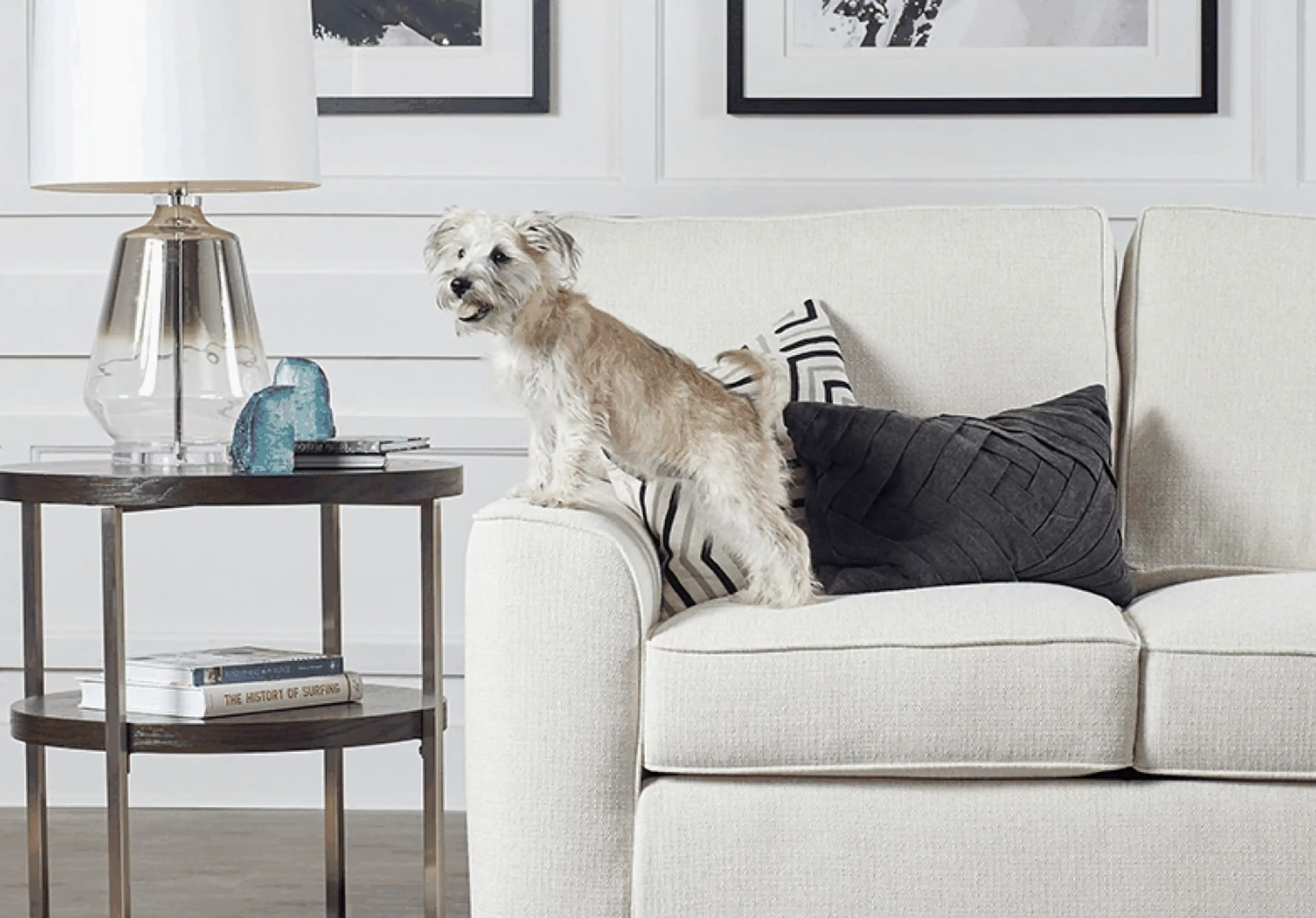 Pet and Life-Friendly Furniture