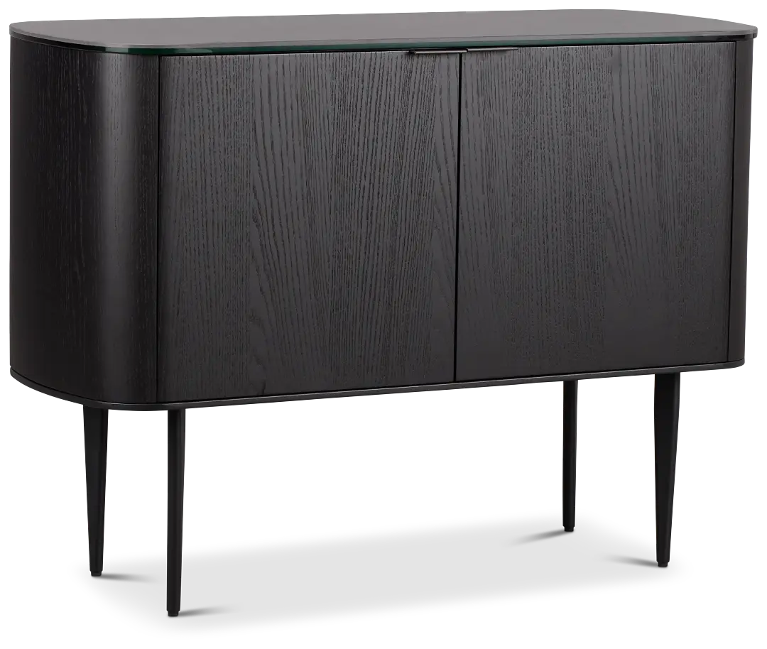 Kayden Black Two-door Cabinet Kayden Black Two-door Cabinet
