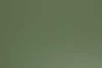 Dinosaur Green Storage Bookcase