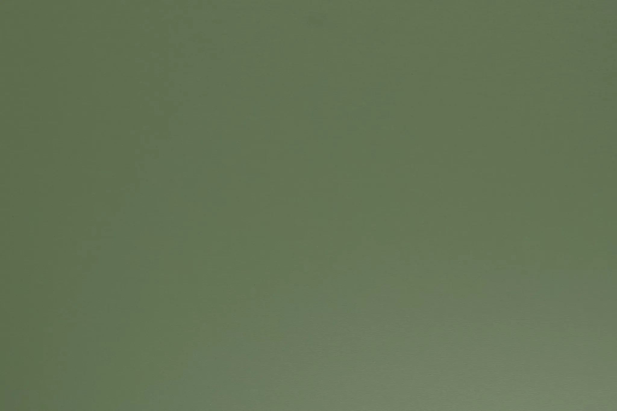 Dinosaur Green Storage Bookcase