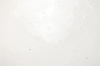 Showah White Bowl