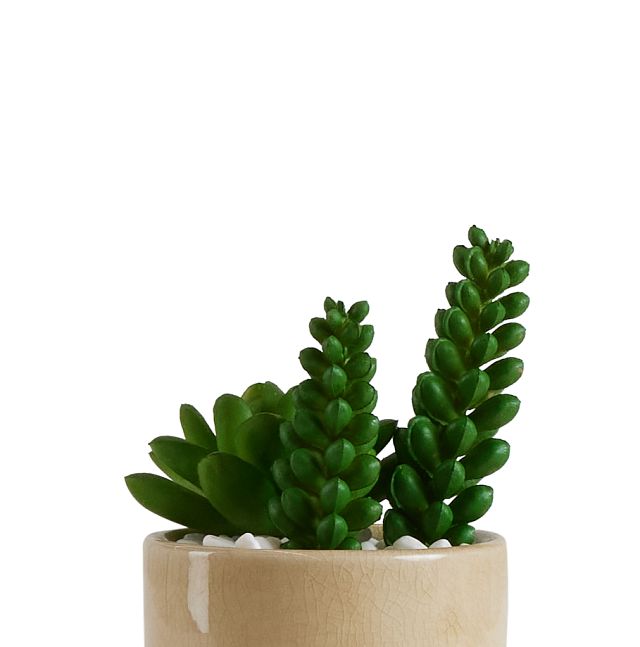 Desert Plant 6.5" Succulent