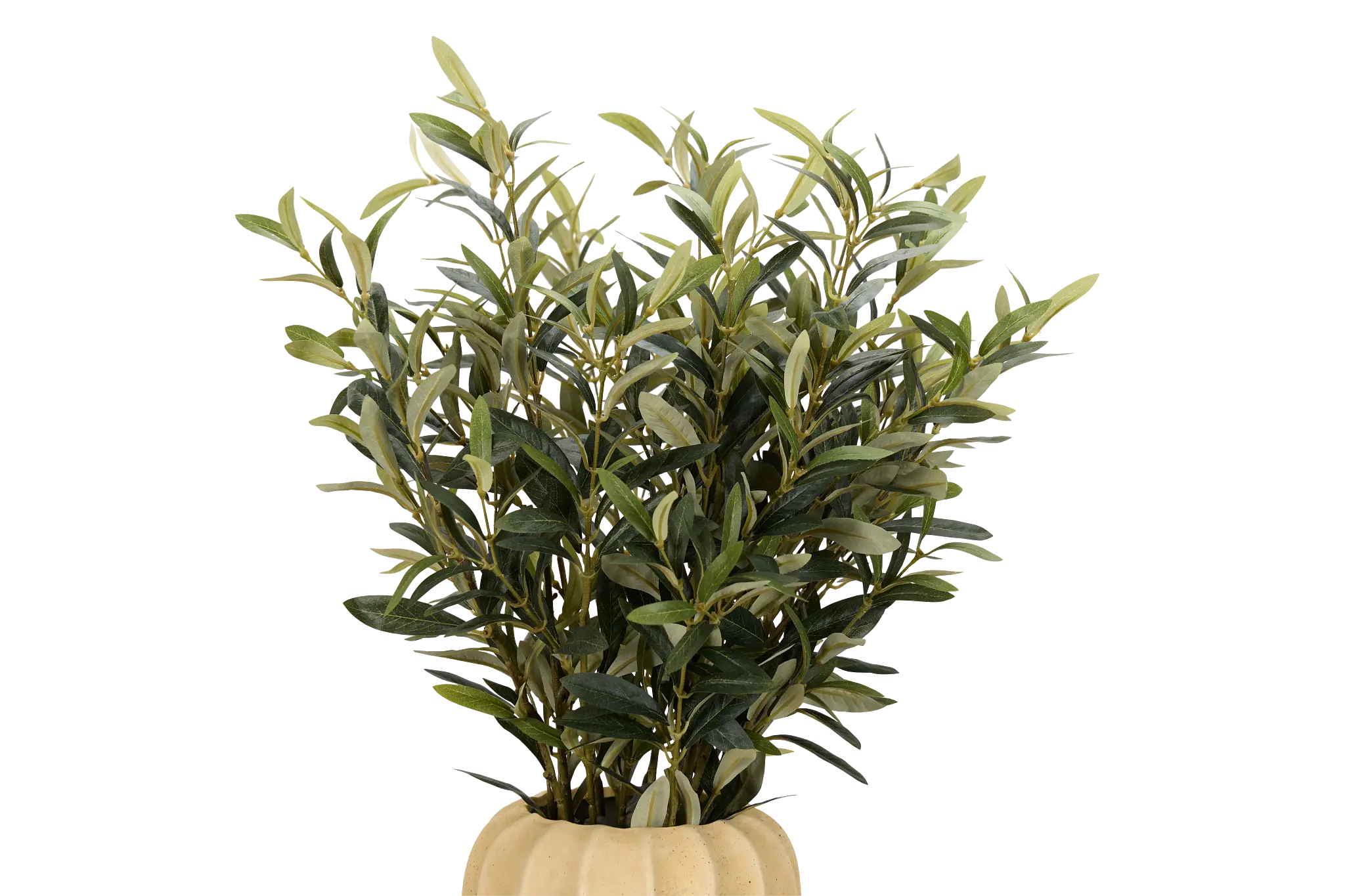 Succulent Multicolored 14" Floral Arrangement Succulent Multicolored 14" Floral Arrangement