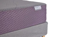Purple Restore Premier Soft Mattress Set