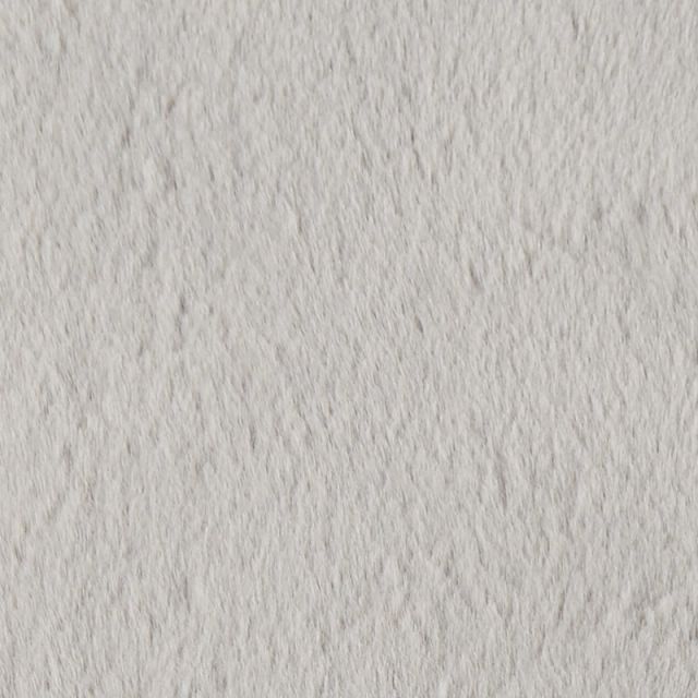 Kaycee Light Gray 6x9 Area Rug