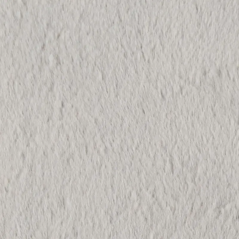 Light Gray Light Gray