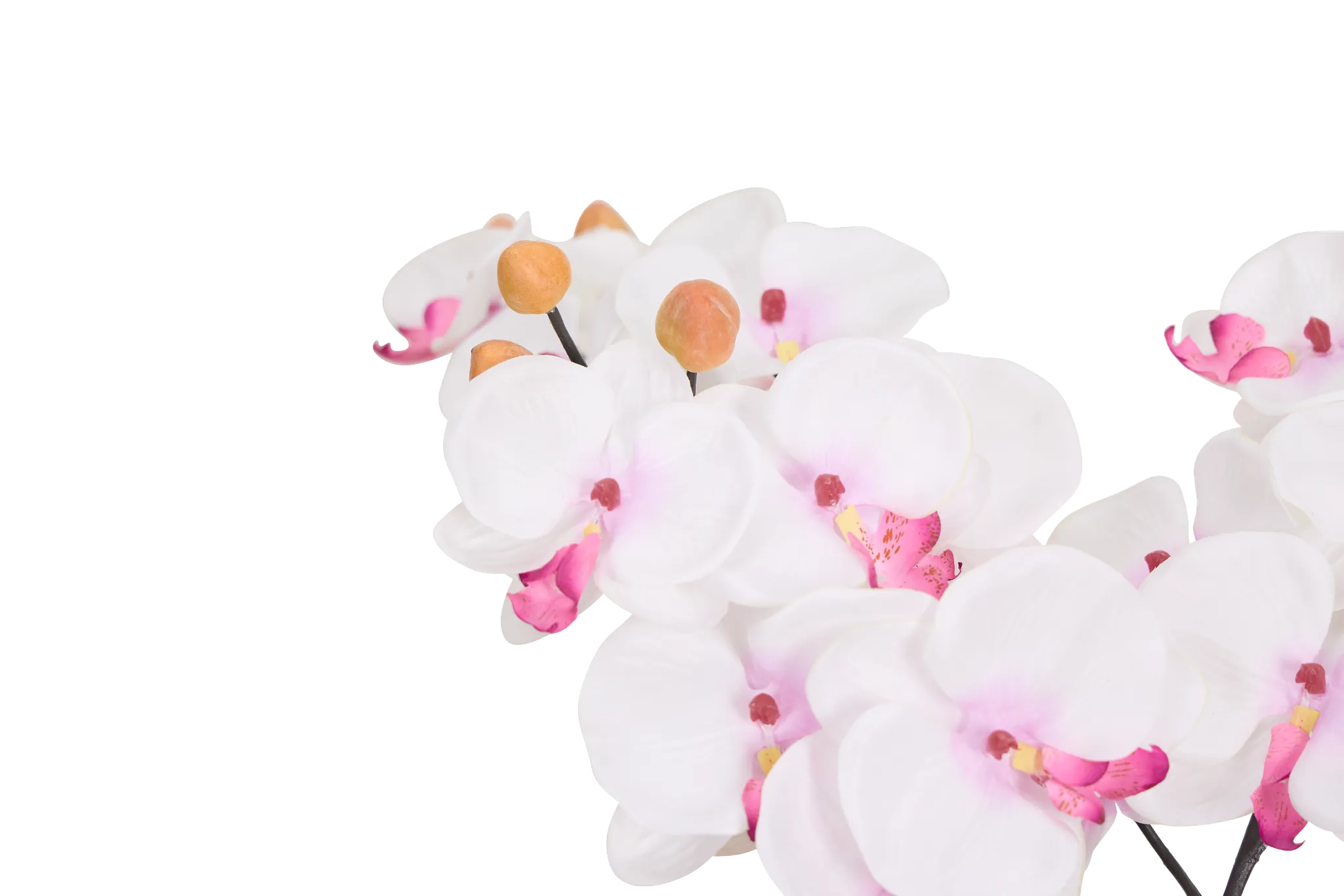 Orchid 7.5" White Floral Arrangement