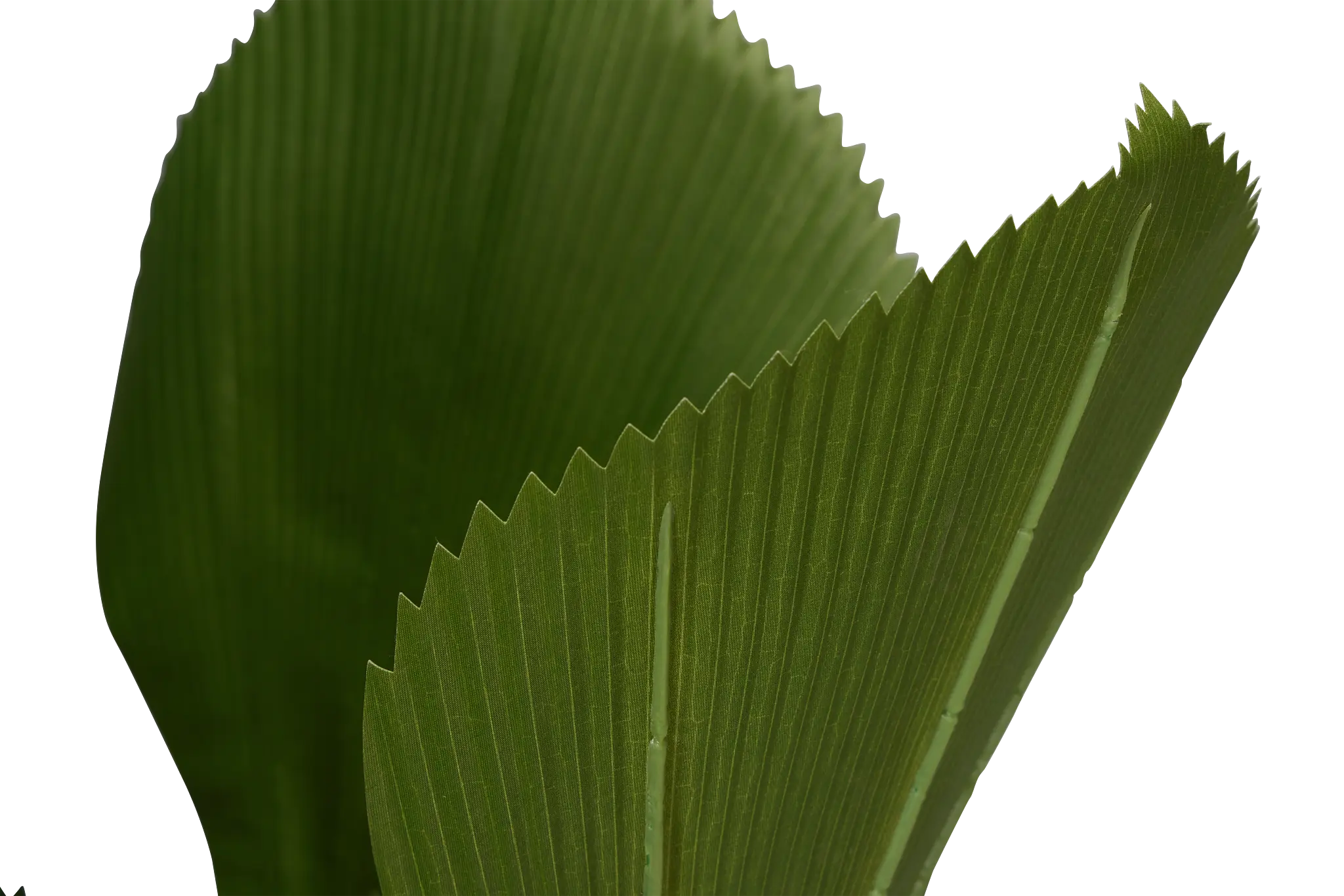 Fiddle Leaf Green 43" Greenery Fiddle Leaf Green 43" Greenery