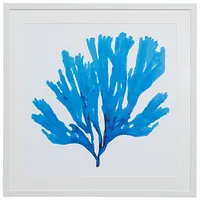 Coralcay Blue Framed Wall Art