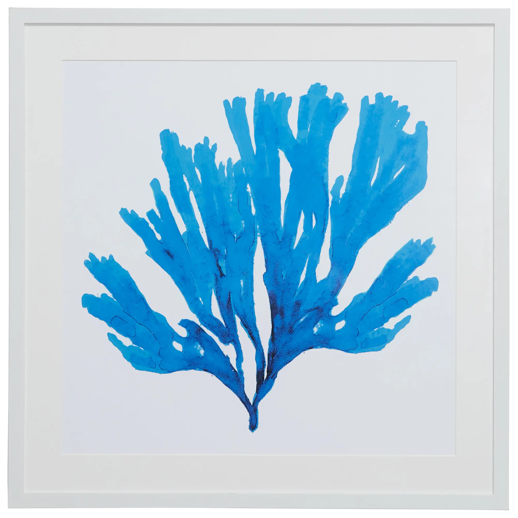 Coralcay Blue Framed Wall Art Coralcay Blue Framed Wall Art