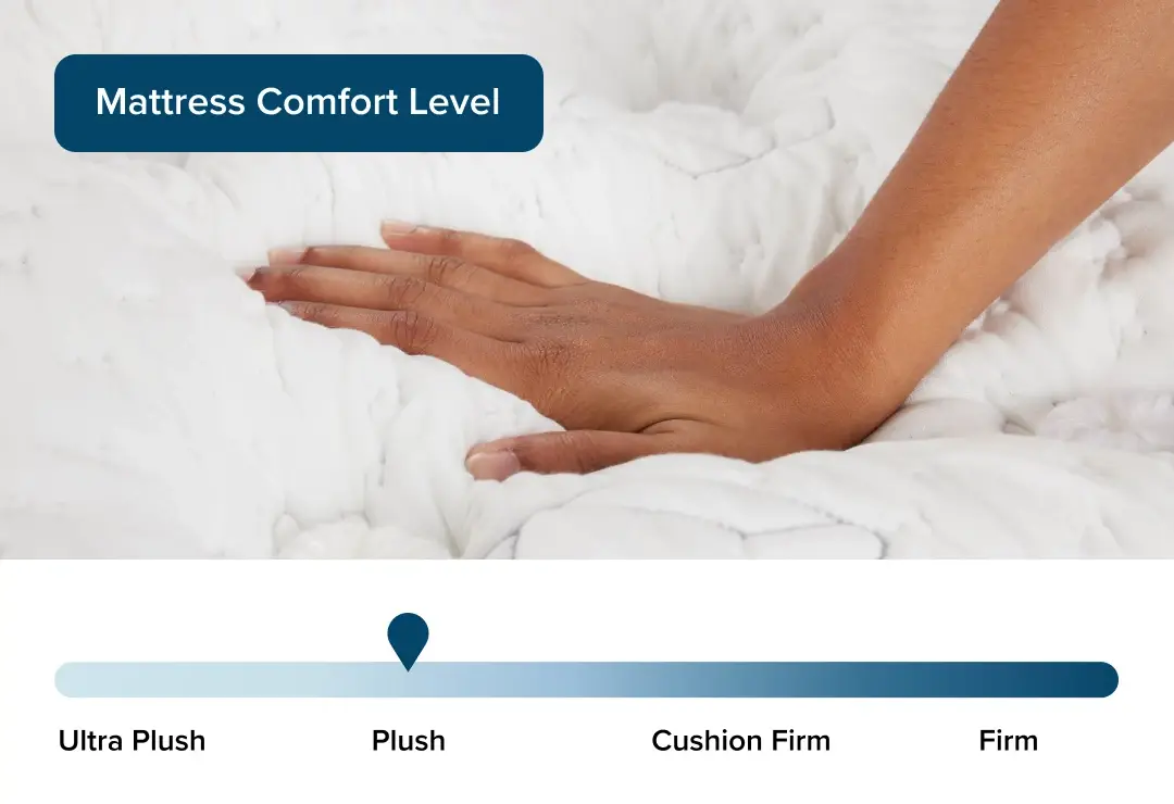 Aireloom Timeless Odyssey Luxetop M1 Plush 15.5" Mattress Aireloom Timeless Odyssey Luxetop M1 Plush 15.5" Mattress