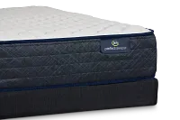 Serta Perfect Sleeper Adorning Night Firm Low-profile Mattress Set