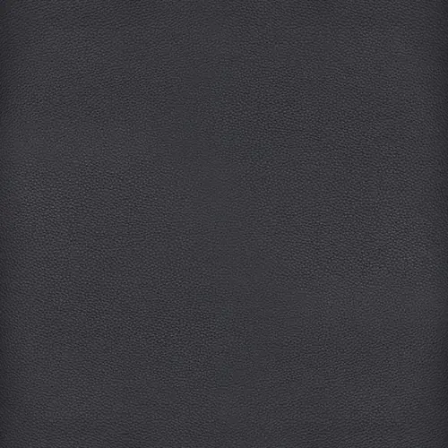 Black Black