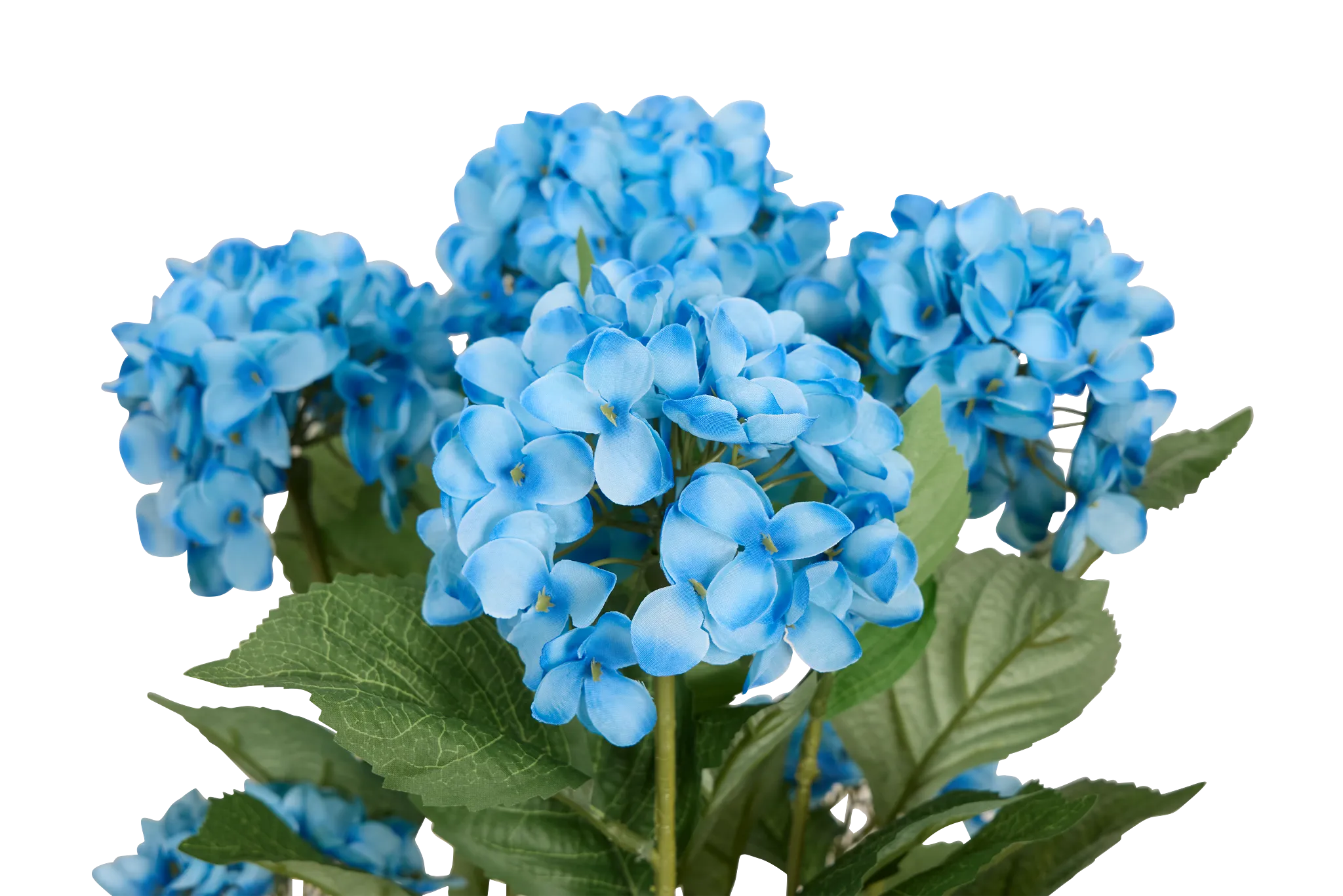 Hyrangea 2' Floral Arrangement