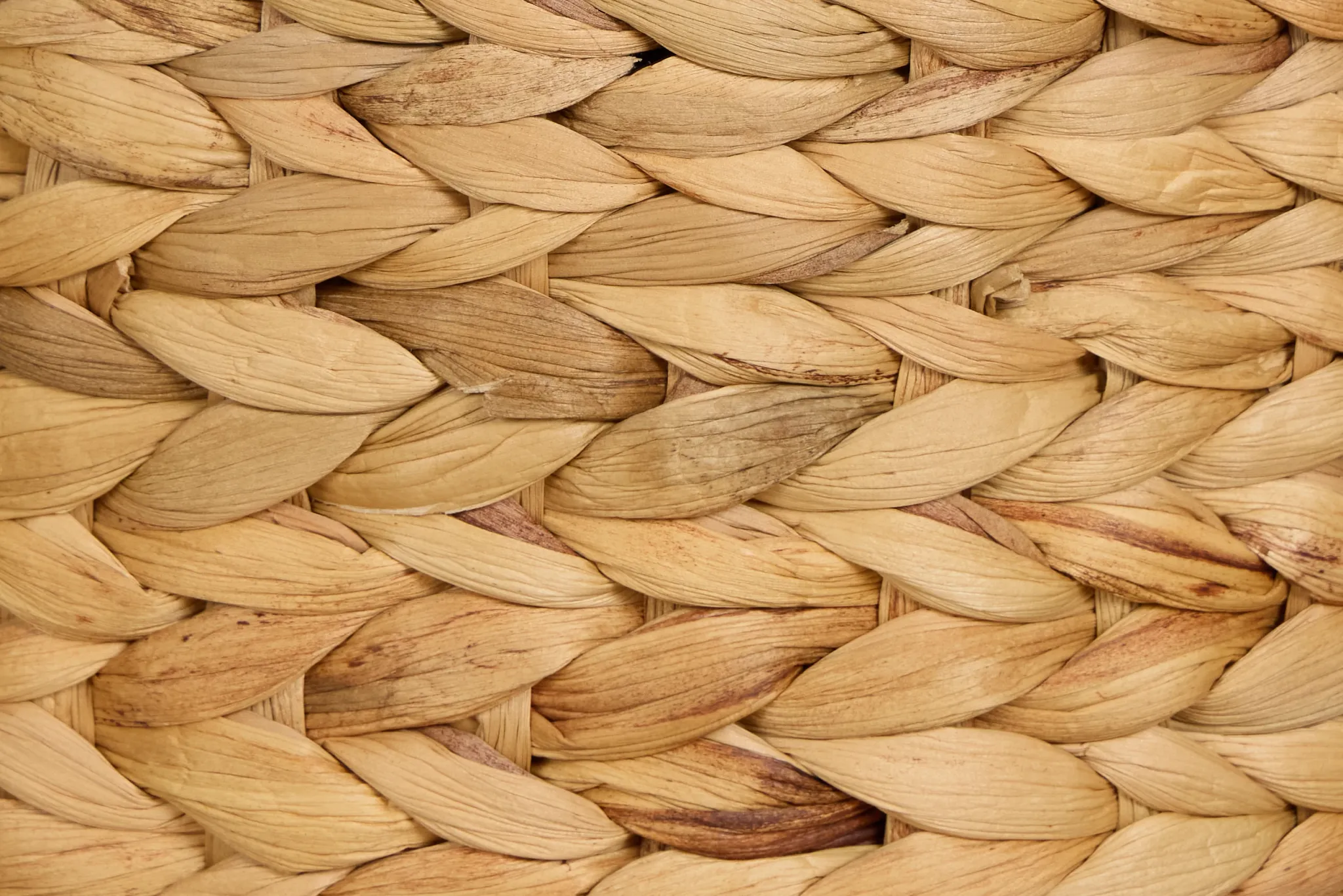 Addie Set Of 3 Woven Basket