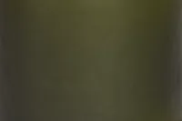 Bohdi Green Small Vase