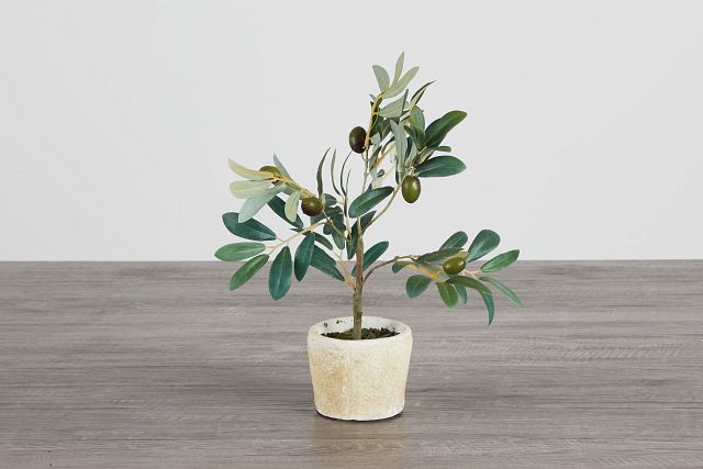 Jolly 12" Olive Tree