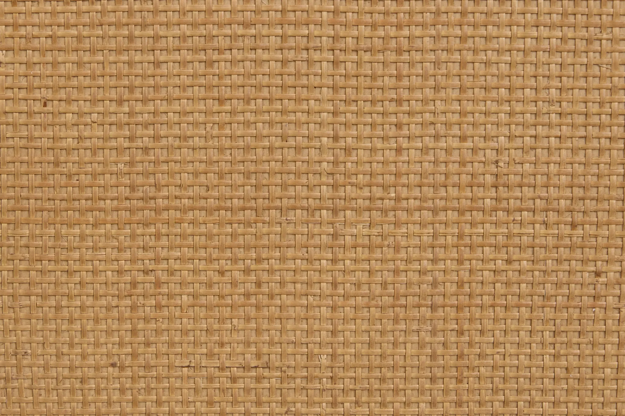 Pacific Two-tone 48" Single Bathroom Vanity