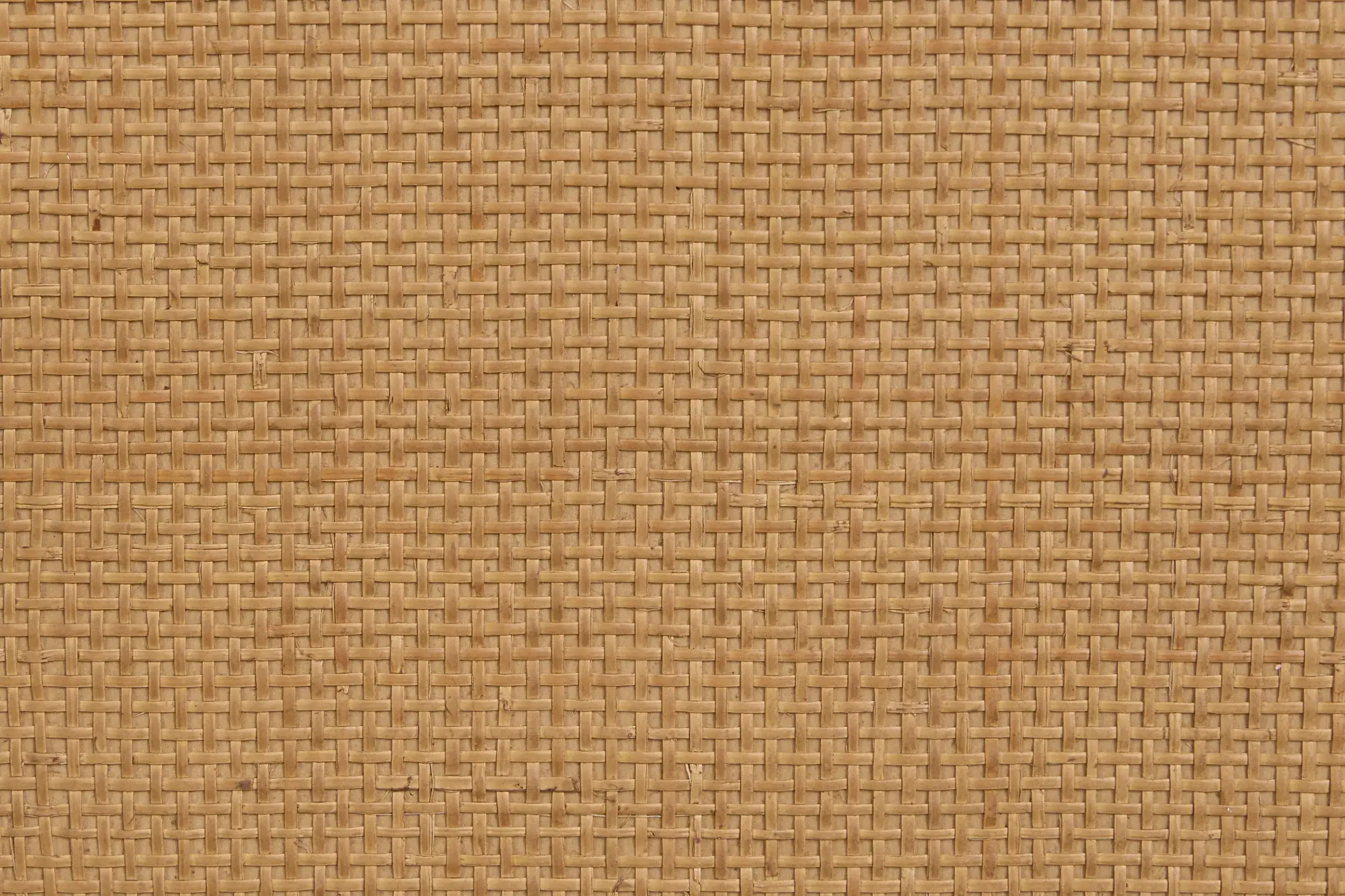 Pacific Two-tone 48" Single Bathroom Vanity Pacific Two-tone 48" Single Bathroom Vanity