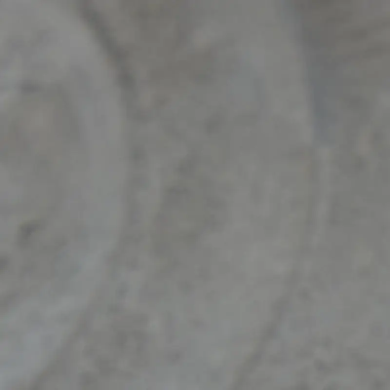 GRAY Carla Gray 11" Bowl