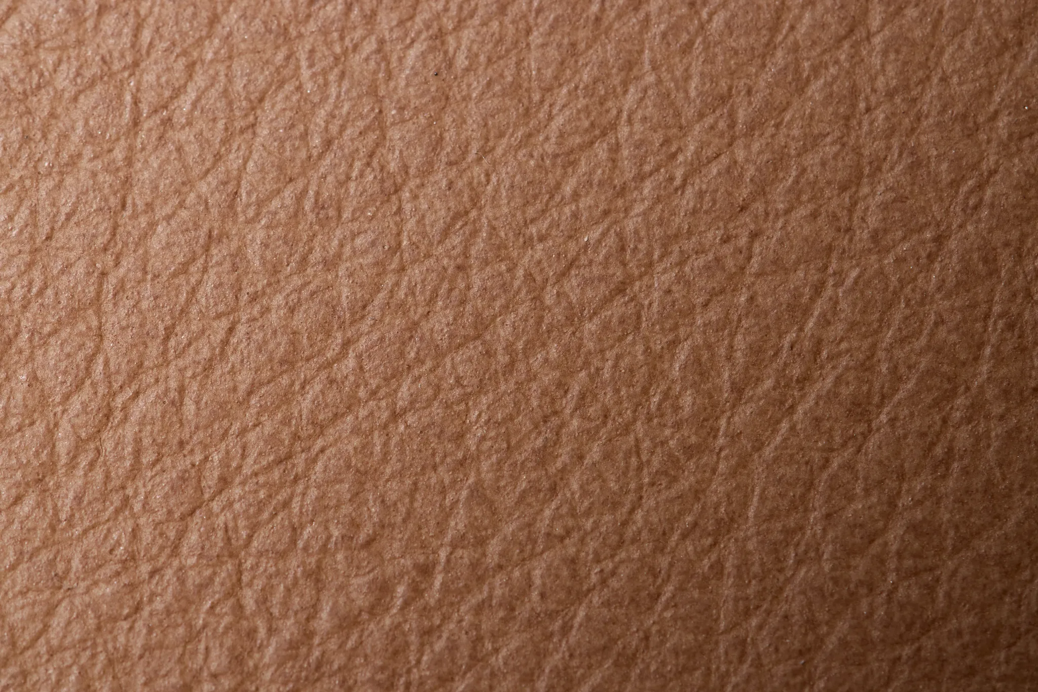 Fiora Light Brown Leather Accent Chair