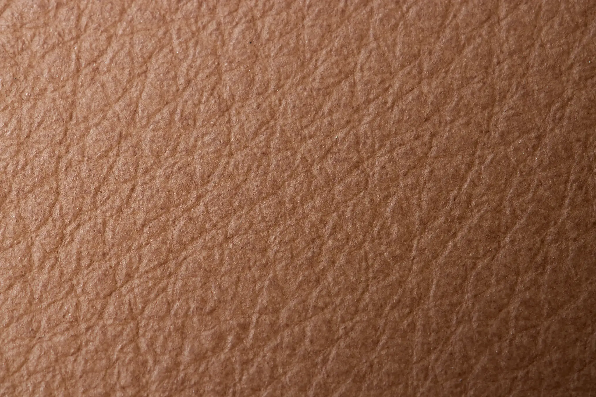 Fiora Light Brown Leather Accent Chair Fiora Light Brown Leather Accent Chair