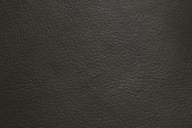 Braden Dark Gray Leather Small Two-arm Sectional
