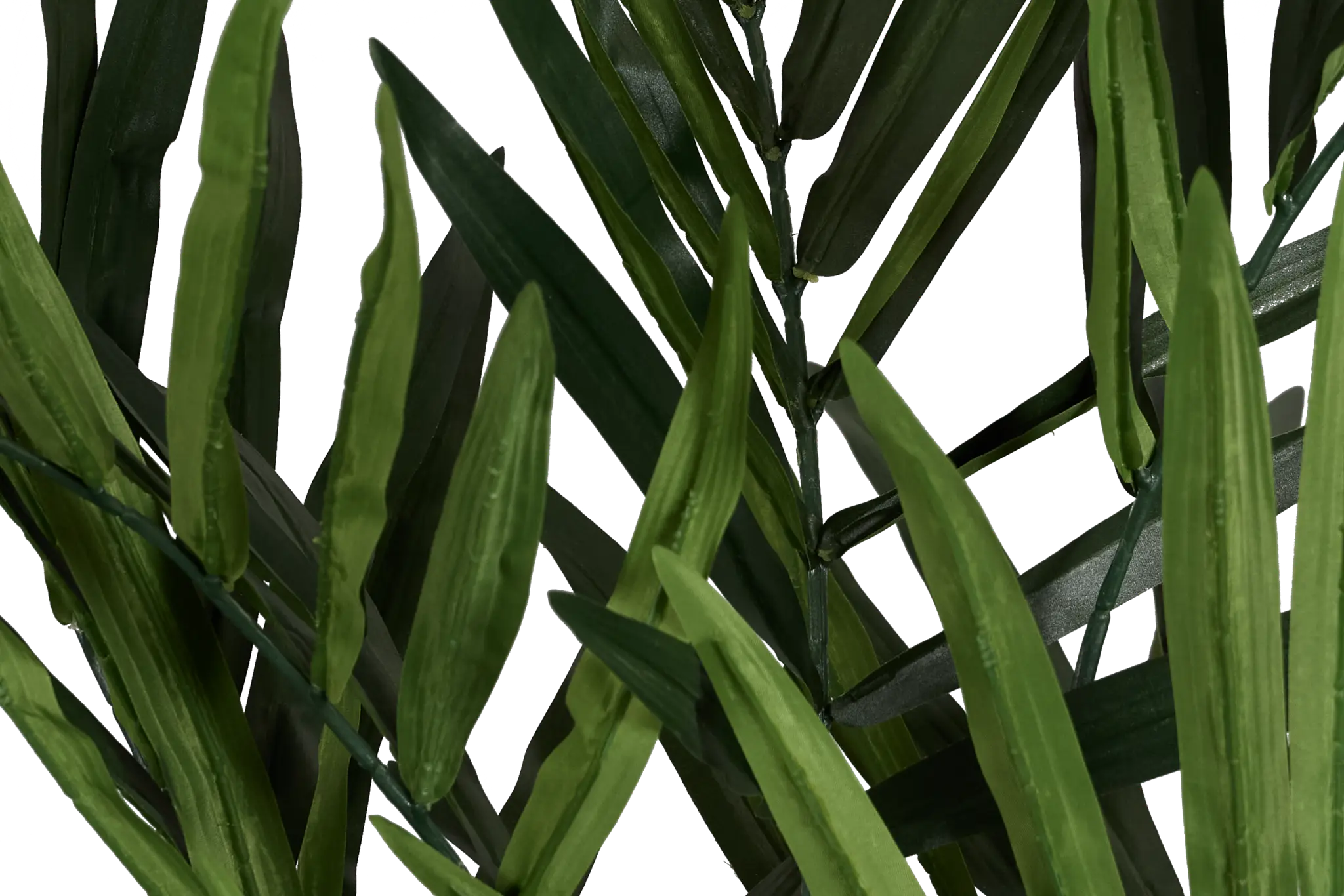 Koa 7' Palm Koa 7' Palm
