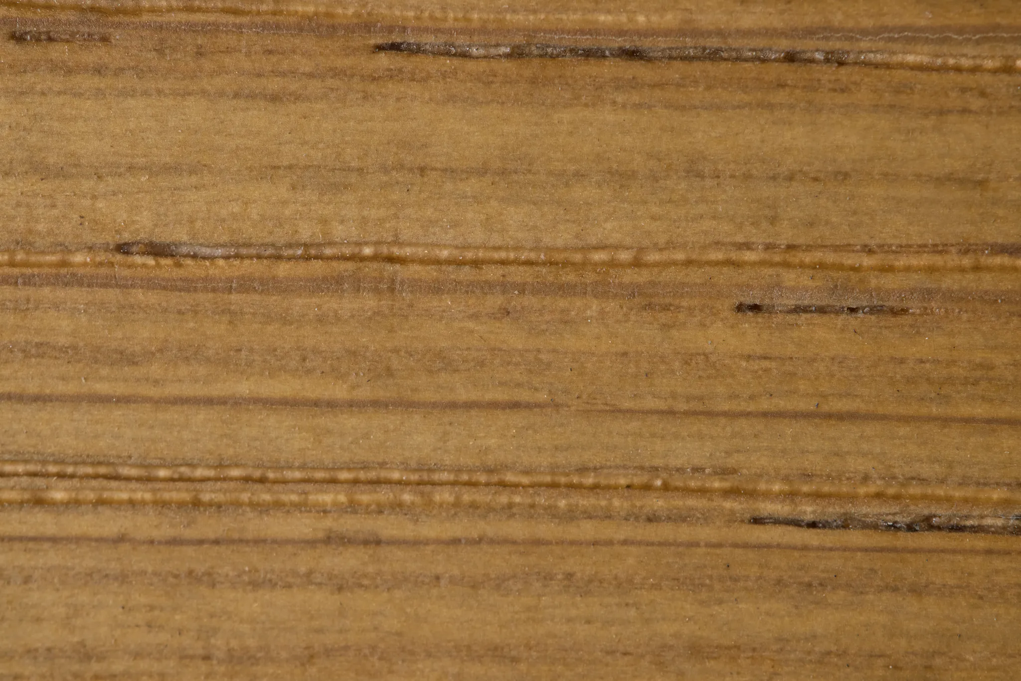 Haven White Upholstered Arm Chair