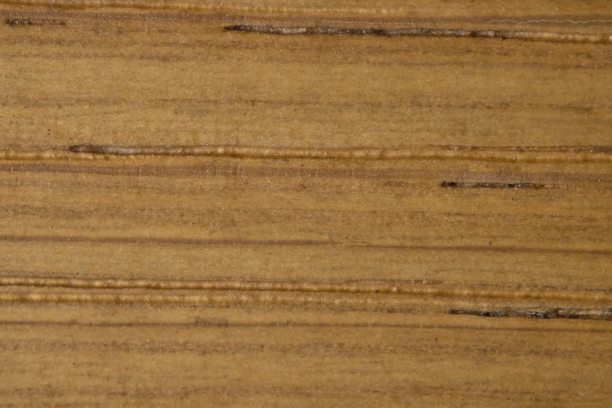 Haven White Upholstered Arm Chair Haven White Upholstered Arm Chair