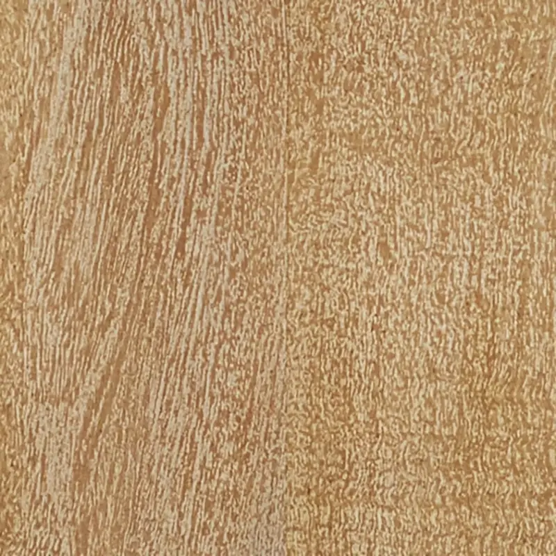 Light Tone Light Tone