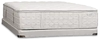 Aireloom Timeless Odyssey Luxetop M2 15.5" Plush Mattress