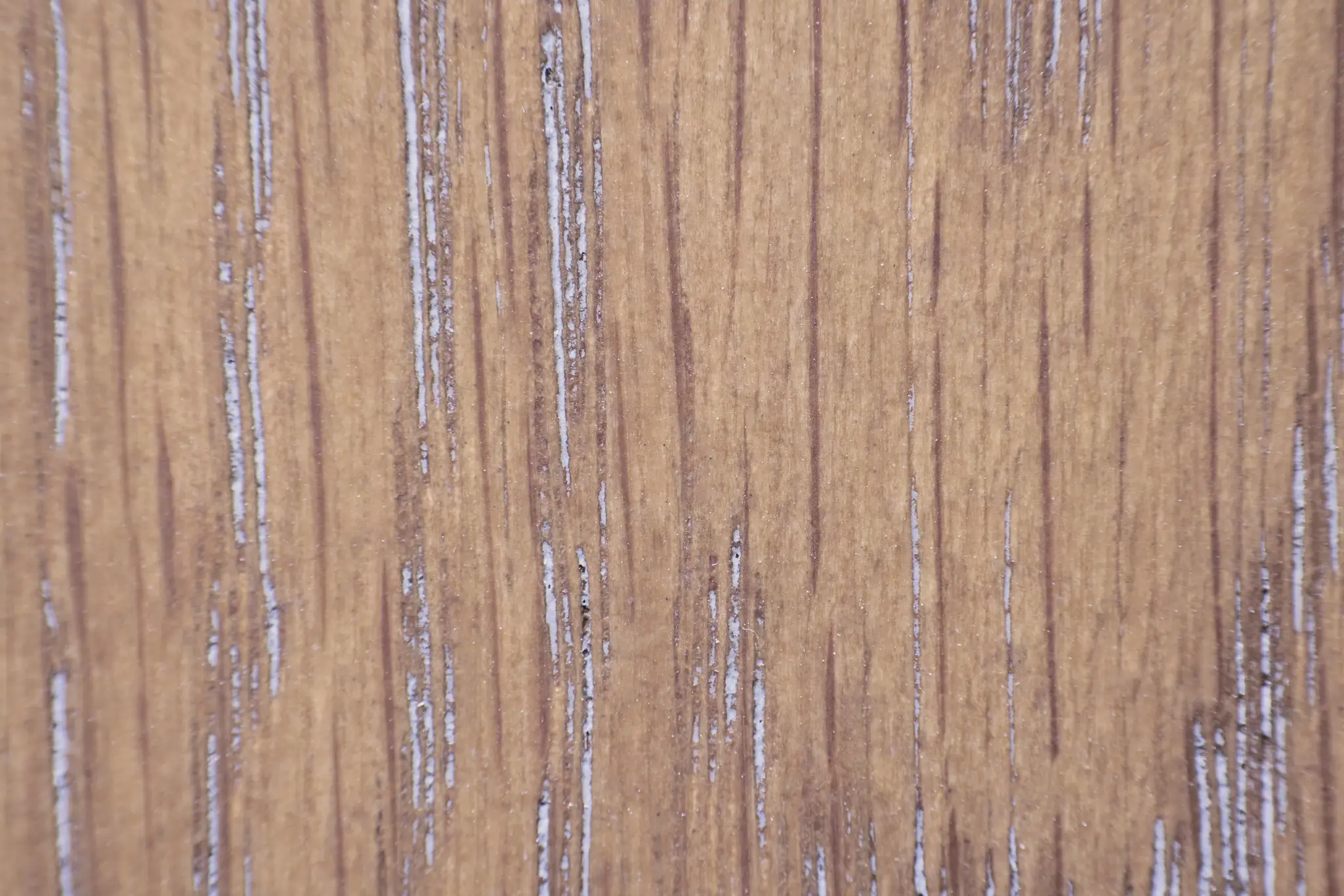 Provo Mid Tone Server Provo Mid Tone Server