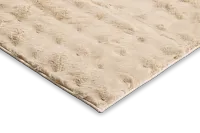 Alesis Beige 5x7 Area Rug