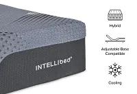 Intellibed Matrix Firm 13.5" Mattress