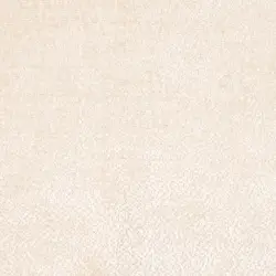 Beige Beige
