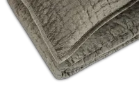 Barin Light Green Coverlet Set