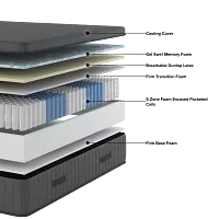 Kevin Charles By Sealy Hybrid 11.75" Medium Mattress