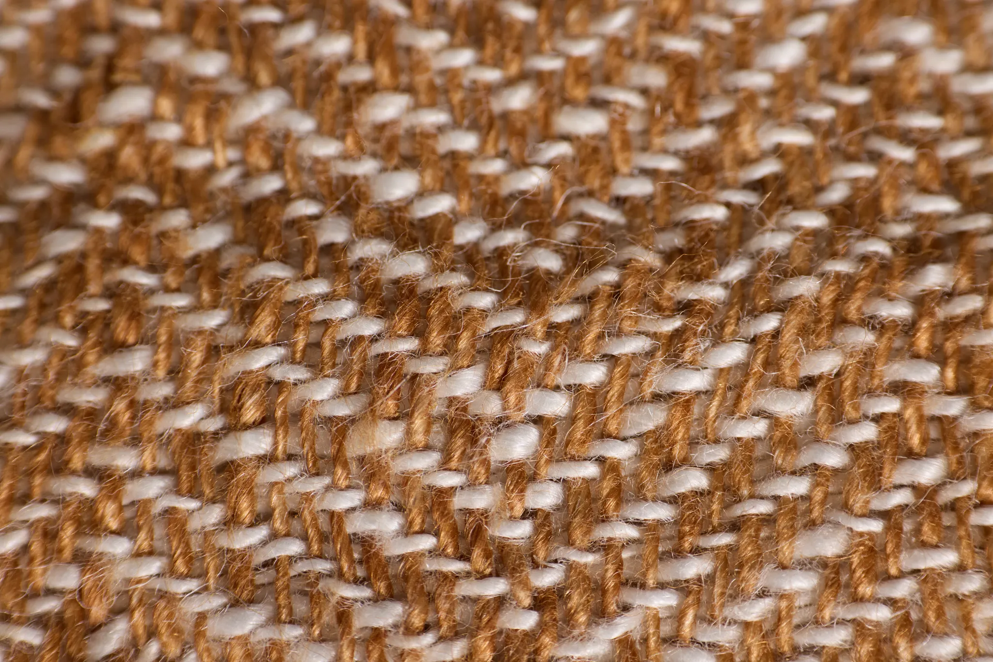 Shari Brown 50"x 60" Throw