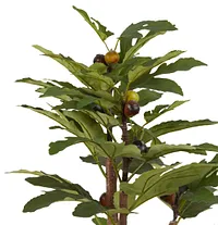 Jaxson Small Cement Olive Tree