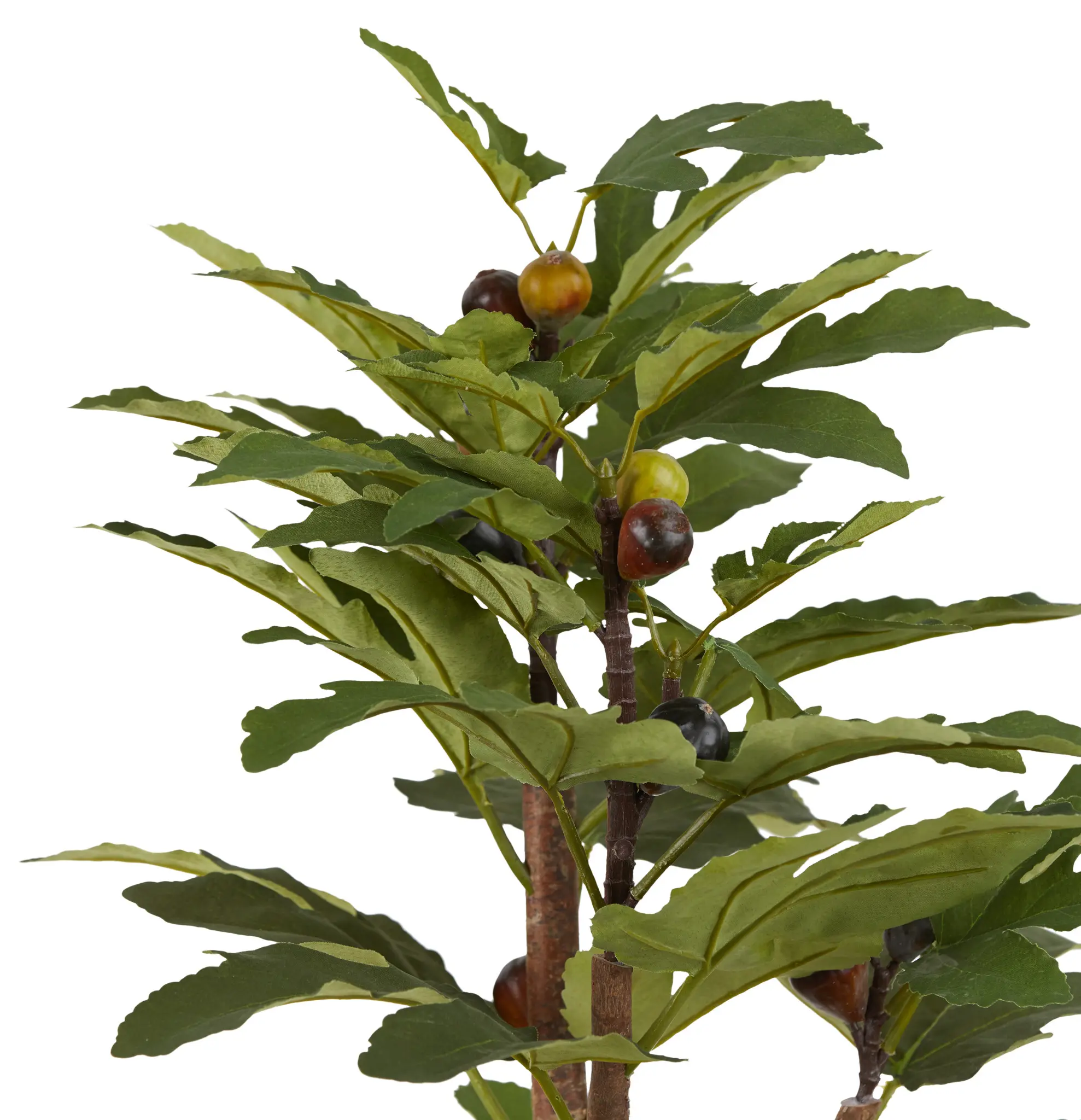 Jaxson Small Cement Olive Tree Jaxson Small Cement Olive Tree