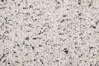 Aysu Multicolored 10x14 Area Rug