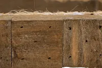 Kodi Light Tone Small Lantern