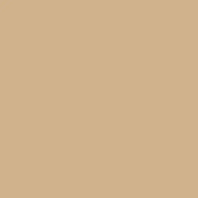 GOLD Hudson Gold Medium Mirror